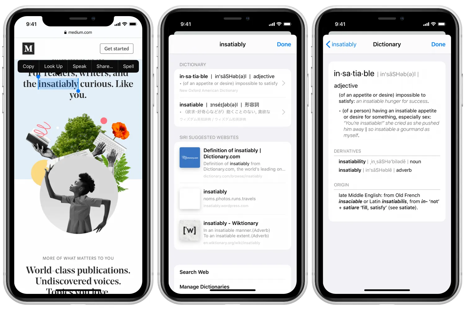 Dictionary project preview